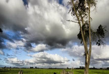 电梯采购公告如何写，电梯公司采购