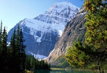 电梯采购的标准规范，电梯采购要求