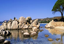 电梯采购执行标准最新规定，电梯采购的标准